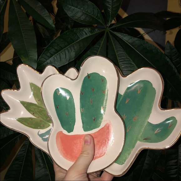 succulent plates - Picture 1 of 4